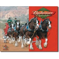 Budweiser - Clydesdale